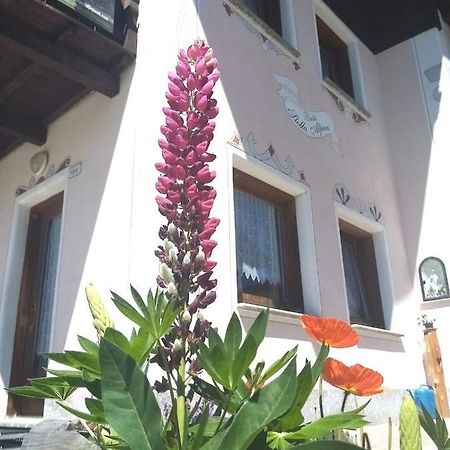 Baita Stella Alpina Livigno Exterior foto